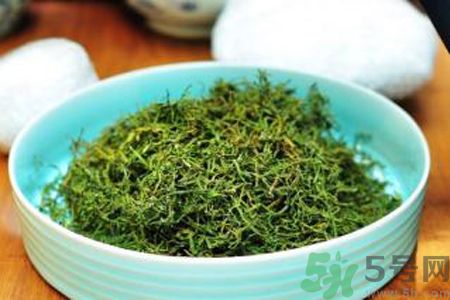 怎么挑選苦菜茶？挑選苦菜茶的技巧