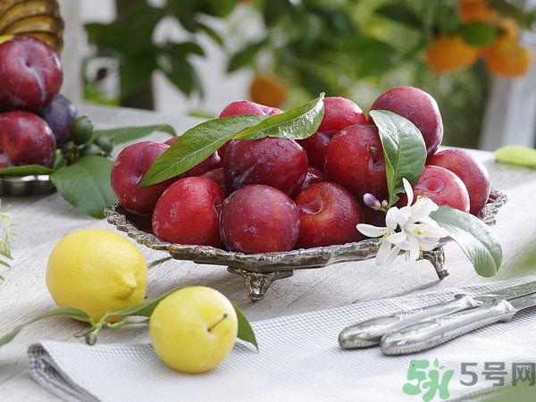 為什么說(shuō)李子樹下埋死人？李子的食用禁忌有哪些？