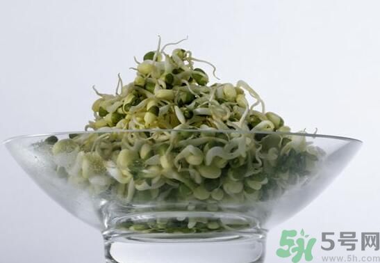 夏天吃綠豆芽可以清火嗎？夏天吃綠豆芽能降火嗎？