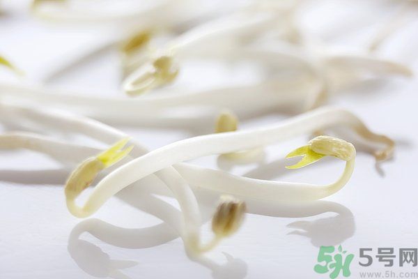 綠豆芽是涼性的嗎？綠豆芽是涼性還是熱性？