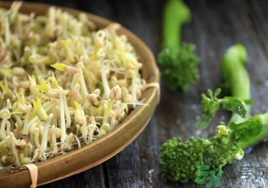 怎樣自己發(fā)綠豆芽？綠豆芽怎樣自己發(fā)？