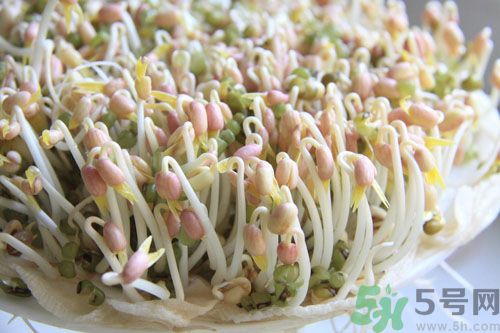 吃毛豆可以減肥嗎？吃毛豆有減肥作用嗎？