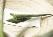 孕婦可以吃蘆薈嗎？孕婦吃蘆薈會(huì)怎樣？