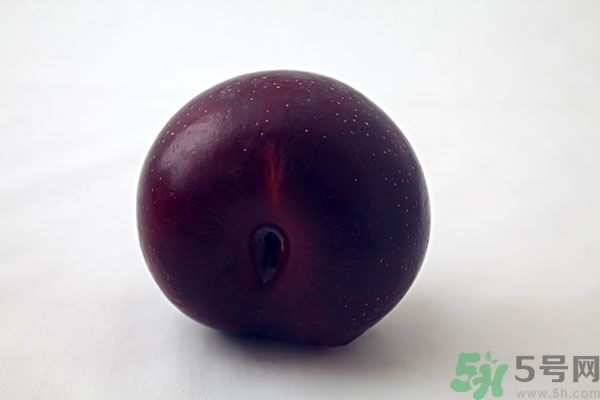 黑布林是李子嗎？黑布林的功效與作用