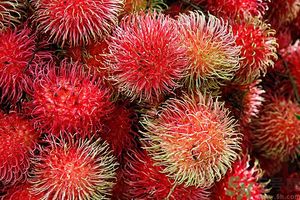 吃紅毛丹上火嗎？吃紅毛丹上火怎么辦？