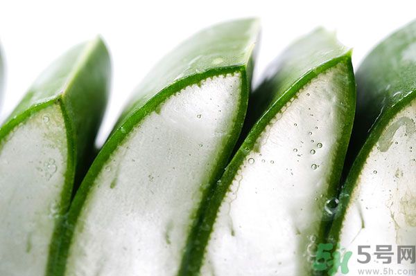 孕婦可以吃蘆薈嗎？孕婦吃蘆薈會怎樣？