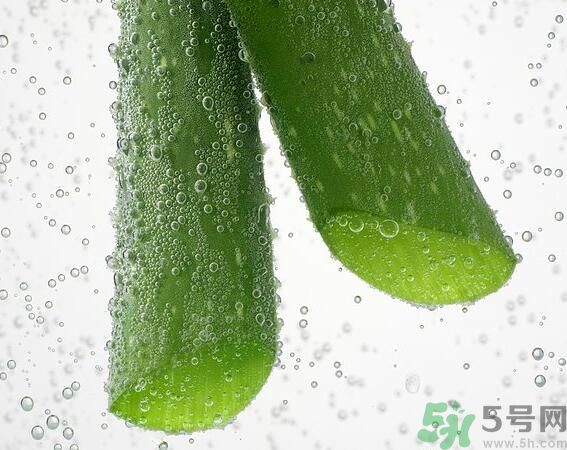 夏天吃蘆薈可以降火嗎？夏天吃蘆薈能清火嗎？