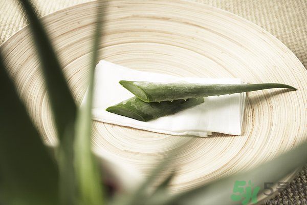 蘆薈是發(fā)物嗎？蘆薈是不是發(fā)物？
