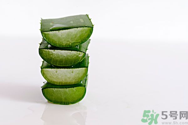 蘆薈是發(fā)物嗎？蘆薈是不是發(fā)物？
