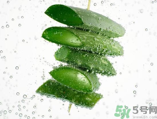 男性可以吃蘆薈嗎？男性吃蘆薈好不好？