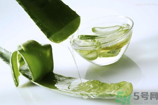 蘆薈酒有什么功效？蘆薈酒的功效是什么？