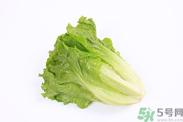 小孩可以吃生菜嗎？小孩吃生菜好嗎？