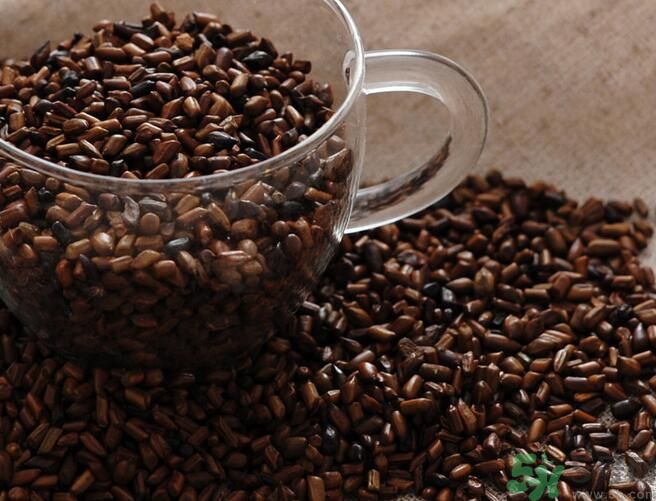 決明子泡茶喝可以減肥嗎？決明子泡茶喝有減肥效果嗎？