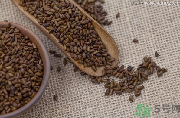 決明子泡茶喝可以減肥嗎？決明子泡茶喝有減肥效果嗎？