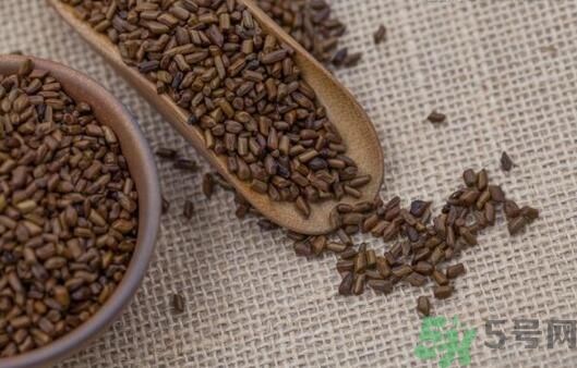 決明子泡茶加什么好？決明子和什么一起泡好？