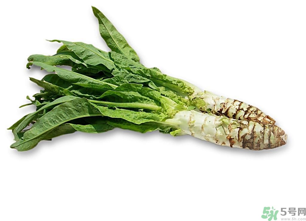 新鮮的萵筍怎么保存？削皮的萵筍怎么保存？