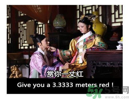 什么是蜀葵？蜀葵是一丈紅嗎？