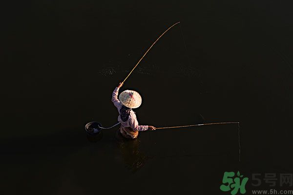 雷陣雨可以釣魚嗎？雷陣雨天氣適合釣魚嗎？