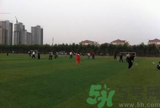 晚自習(xí)后跑步好嗎？下晚自習(xí)吃什么比較好？