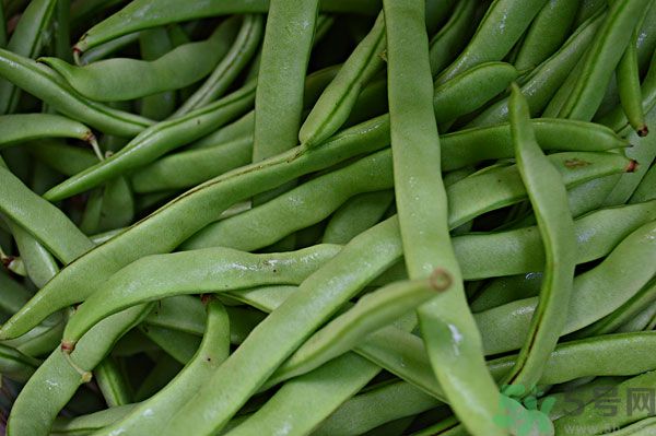 四季豆沒炒熟有毒嗎？四季豆沒熟吃了會(huì)怎樣？