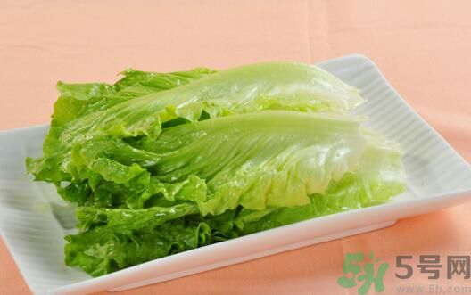 生菜會引起過敏嗎？吃生菜會過敏嗎？