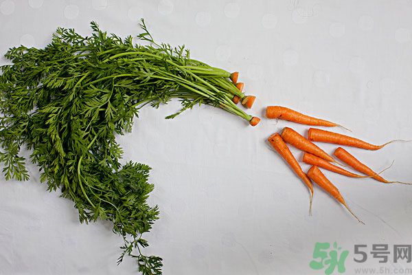 吃西瓜能防曬嗎？吃巧克力能紫外線嗎？