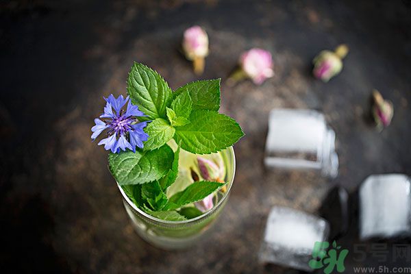 薄荷曬干泡茶有什么好處？薄荷曬干泡水的功效