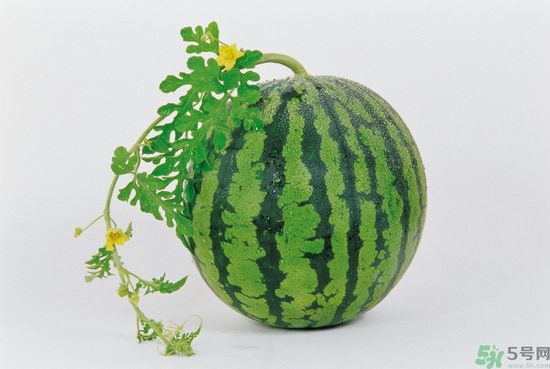西瓜怎么挑熟的甜的？西瓜的儲存方法？
