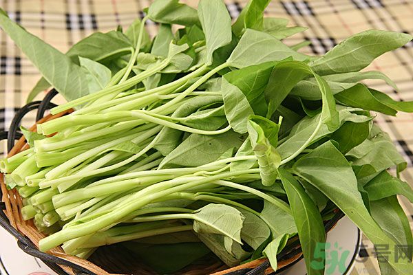 空心菜是菠菜嗎？空心菜是不是菠菜？