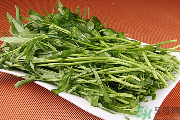 空心菜是菠菜嗎？空心菜是不是菠菜？