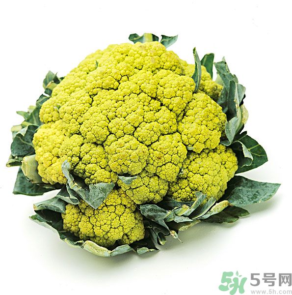 玉川和斯利安哪個(gè)好？葉酸片什么牌子最好？