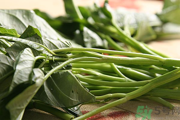 空心菜是菠菜嗎？空心菜是不是菠菜？
