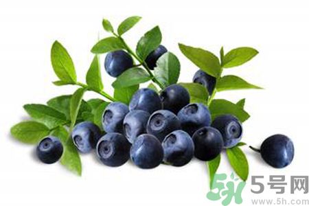 藍(lán)莓是不是發(fā)物？藍(lán)莓是發(fā)物嗎？