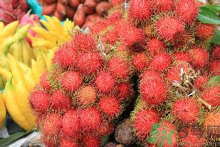 寶寶可以吃紅毛丹嗎？寶寶多大了可以吃紅毛丹？