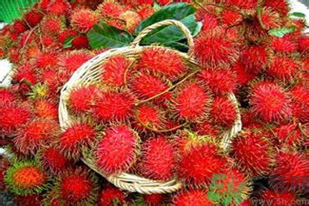 紅毛丹為什么有黃色和紅色？紅毛丹黃色和紅色哪個好吃？