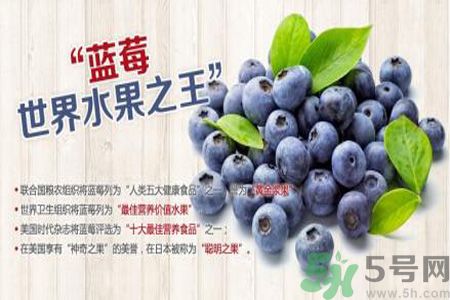 衣服上面染上了藍(lán)莓汁怎么辦？藍(lán)莓漬怎么清洗？