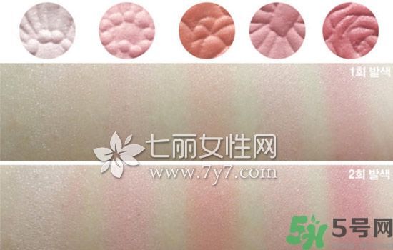 canmake花瓣腮紅色號(hào)對(duì)比圖？canmake五色花瓣腮紅試色