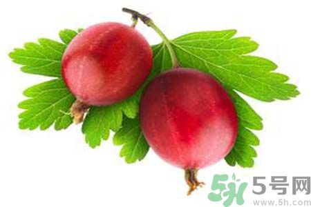 無花果沒熟可以吃嗎？吃了沒熟的無花果會(huì)怎樣？