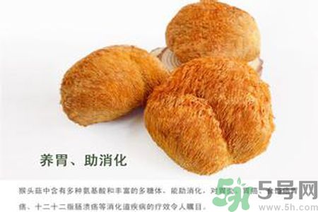 猴頭菇是酸性還是堿性？猴頭菇是堿性嗎？