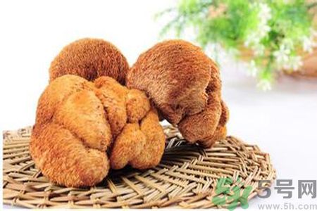  哺乳期可以吃猴頭菇嗎？產(chǎn)婦可以吃猴頭菇嗎？