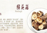  哺乳期可以吃猴頭菇嗎？產(chǎn)婦可以吃猴頭菇嗎？