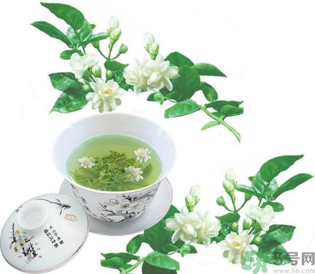喝茉莉花茶會過敏嗎？喝茉莉花茶過敏了怎么辦？