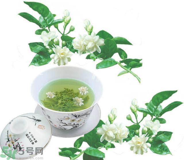 茉莉花茶可以減肥嗎？怎樣喝茉莉花茶可以減肥？