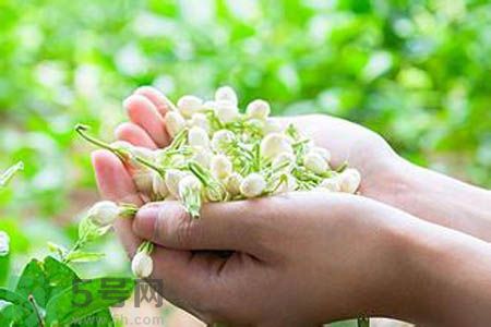 痛風(fēng)可以喝茉莉花茶嗎？痛風(fēng)喝茉莉花茶好嗎？