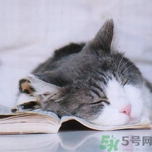 如何控油？如何控油祛痘？