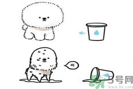 虛胖是什么原因？虛胖怎么辦？