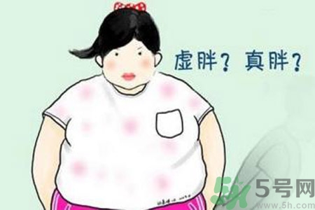 虛胖吃什么中藥？虛胖吃什么中藥有效？