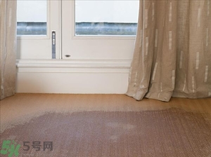 房間潮濕怎么辦？房間潮濕如何解決？