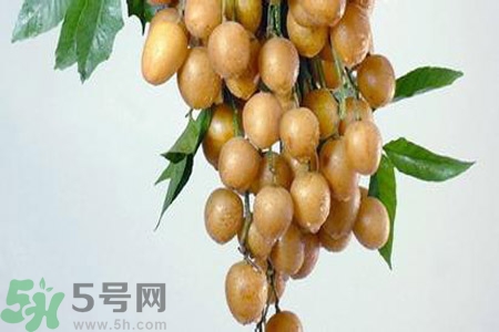 黃皮果是不是發(fā)物？黃皮果是發(fā)物嗎？