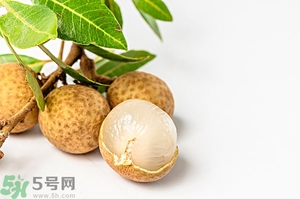 桂圓可以泡酒嗎？桂圓的功效與作用